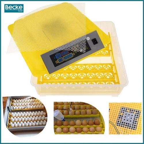 Inkubator wylęgarka klujnik automatyczny do wylęgu drobiu hodowla 48 jajek na Arena.pl