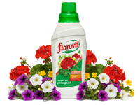 FLOROVIT NAWÓZ DO PELARGONII PETUNII FUKSJI LOBELII FIOŁKÓW BRATKÓW WERBENY