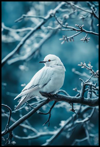 Plakat 68x101cm Perłowy Ptak na Arena.pl