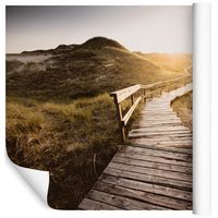 Fototapeta 3D Wydmy ROŚLINY Krajobraz do Biura 270x180