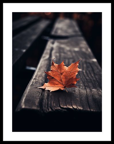 Plakat 30x40cm Pojedynczy Liść na Arena.pl