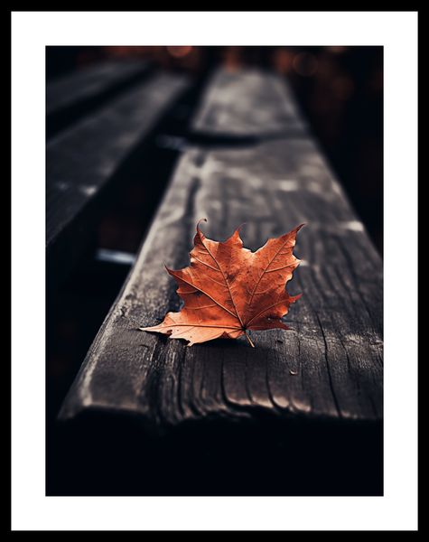 Plakat 30x40cm Pojedynczy Liść zdjęcie 3