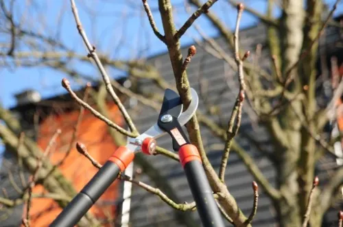 SEKATOR DO KONARÓW YATO TELESKOPOWY OGRODOWY 960MM na Arena.pl