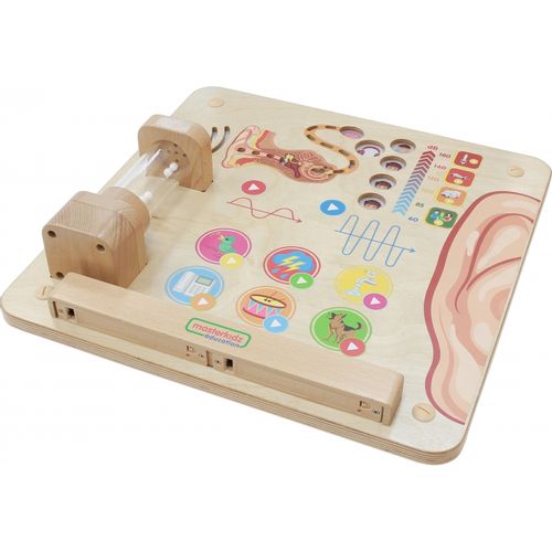 MASTERKIDZ Tablica Edukacyjna Zmysł Słuchu na Arena.pl