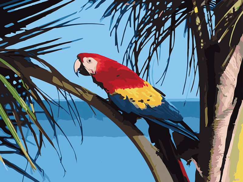 Malowanie po numerach – Papuga - 30x40 rama zdjęcie 1