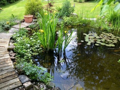 KREDA do stawu oczek wodnych bezpieczna naturalna Normuje PH 24kg na Arena.pl