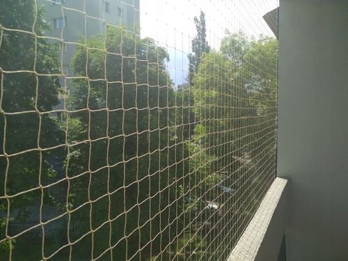 SIATKA ZABEZPIECZAJĄCA NA BALKON DLA KOTA PRZECIWKO PTAKOM 2x3m na Arena.pl