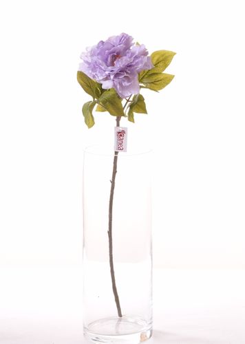 Peonia jasny fiolet na Arena.pl