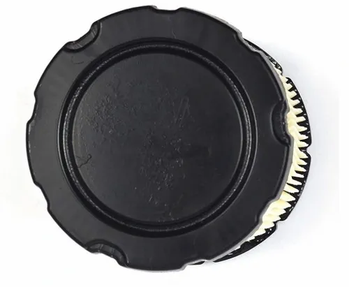 Zestaw serwisowy silnika Briggs Stratton 992243 do traktorka mtd rn 145 165 na Arena.pl