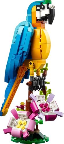 LEGO Creator 3 w 1 31136 Egzotyczna papuga 3w1 Żaba Ryba na Arena.pl