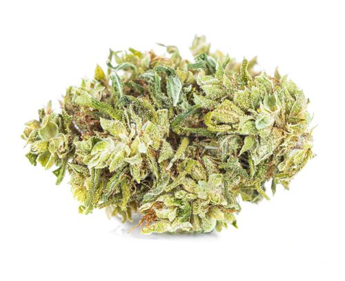 CBD SUSZ KONOPNY CBG SILVER PREMIUM PRODUKT NATURALNY 100 g na Arena.pl