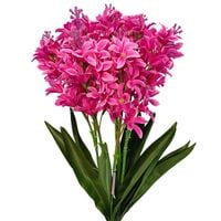 Bukiet hiacynt biskupi