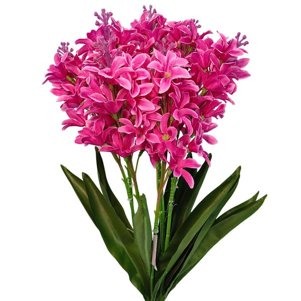 Bukiet hiacynt biskupi zdjęcie 1