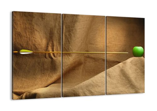 Obraz Na Płótnie - Płótno Strzała - 105X70 Cm - Ce105X70-2216 na Arena.pl