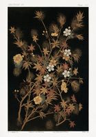 Plakat 70x100cm Japońskie Jesienne Kwiaty, G.A. Audsley do Salonu