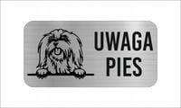GRAWER Tabliczka nierdzewna 20x10 cm UWAGA PIES Maltańczyk