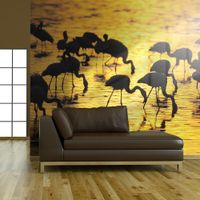 Fototapeta - Kenia - flamingi na jeziorze Nakuru 250x193
