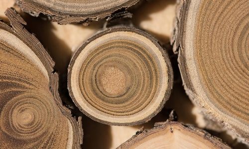 Podchloryn sodu 15% chlor w płynie do basenu jacuzzi 5l Chlorox S na Arena.pl