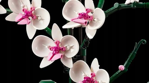lego icons 10311 orchidea 4336 na Arena.pl