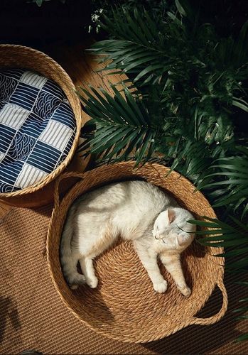 Legowisko Dla Kota Psa Kosz Okrągły Pleciony + Miękka Poduszka na Arena.pl