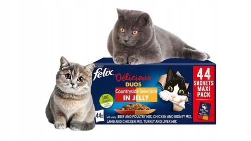 FELIX FANTASITC 44x85G DUOS DUO Podwójny smak | z NIEMIEC na Arena.pl