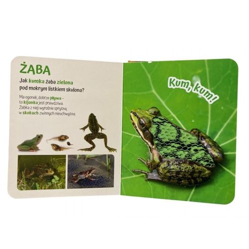 Pogłaszcz zwierzątko na łące AWM WYDAWNICTWO na Arena.pl