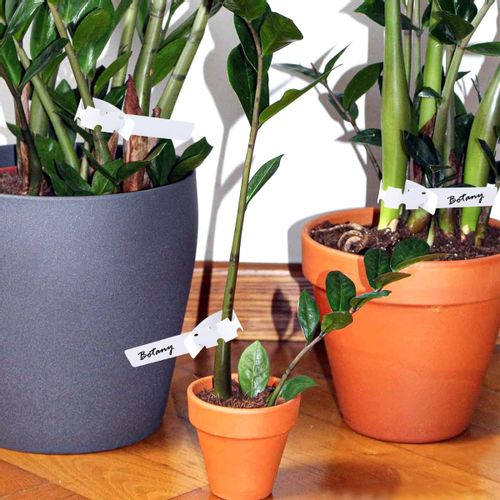 ETYKIETA DO ROŚLIN TABLICZKI ZNACZNIKI SADZONEK KWIATÓW 100SZT sadowni na Arena.pl