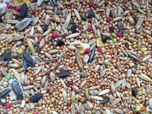 Karma Jedzenie Pokarm Z Słonecznikiem Dla Ptaków Papug Średnich Nimfa na Arena.pl