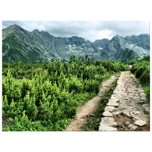 Obraz Na Płótnie 40X30 Kamienista Droga na Arena.pl