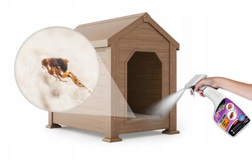 SPRAY ŚRODEK PŁYN NA PCHŁY PREPARAT NA PCHŁY CYPERMETRYNA NO PEST PEST na Arena.pl