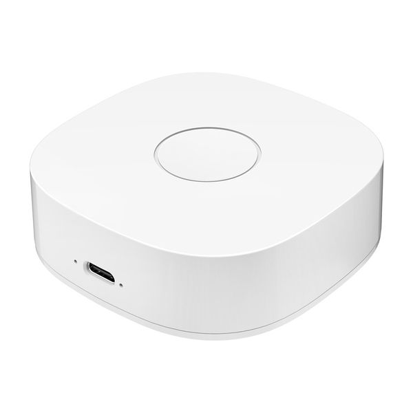 inteligentna bramka heiman ws2gw-r wifi zdjęcie 2