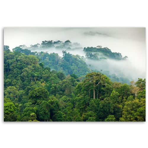 Emaga Obraz na płótnie, Las we mgle - 100x70 na Arena.pl