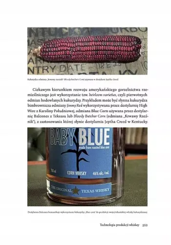 Whiskey Amerykańska na Arena.pl