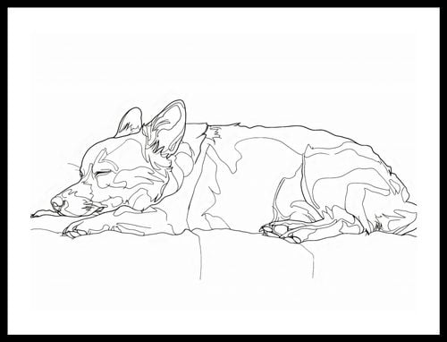 Plakat 55x40cm Śpiący Psiak na Arena.pl