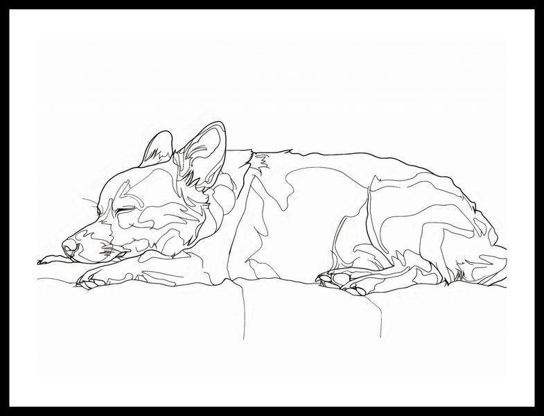 Plakat 55x40cm Śpiący Psiak zdjęcie 3