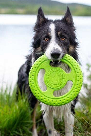 Kiwi Walker Let's Play Frisbee Mini różowe zdjęcie 3