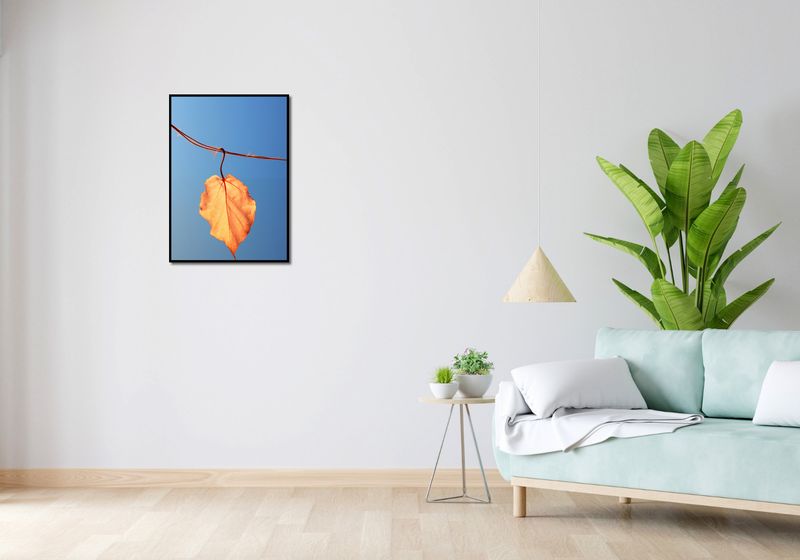 Plakat 50x70cm Ostatni Liść zdjęcie 4