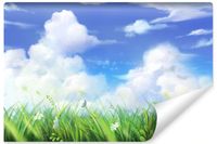 Fototapeta Ścienna ŁĄKA Niebo Chmury Efekt 3D Rośliny Natura 360cm x 240cm
