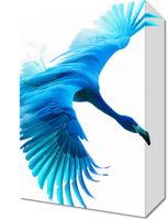 Obraz 20x30cm Błękitny Lot