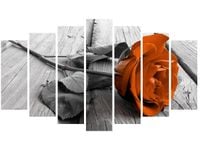 product-compare-58693741