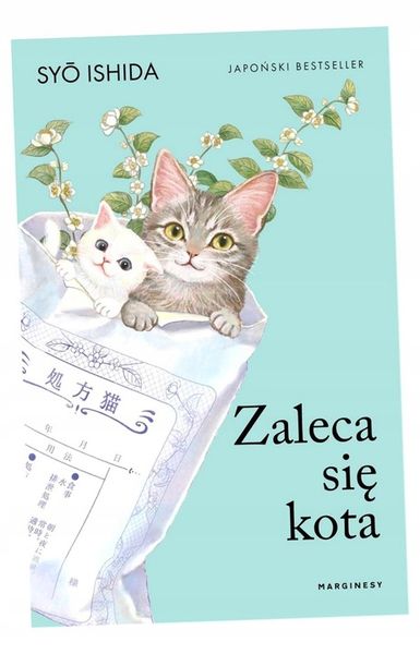 ZALECA SIĘ KOTA SHŌ ISHIDA zdjęcie 1
