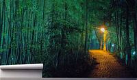 Fototapeta ZIELONE LIŚCIE DROGA PARK NOCĄ 390x280