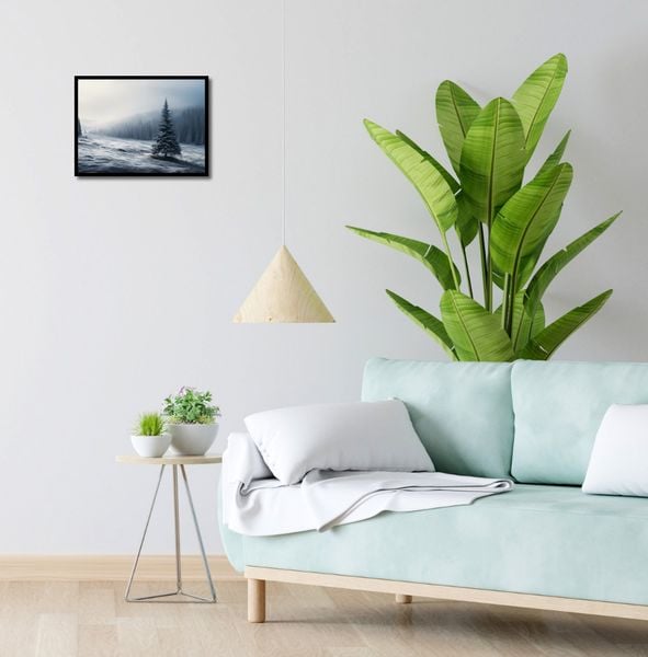 Plakat 40x30cm Samotna Choinka zdjęcie 4