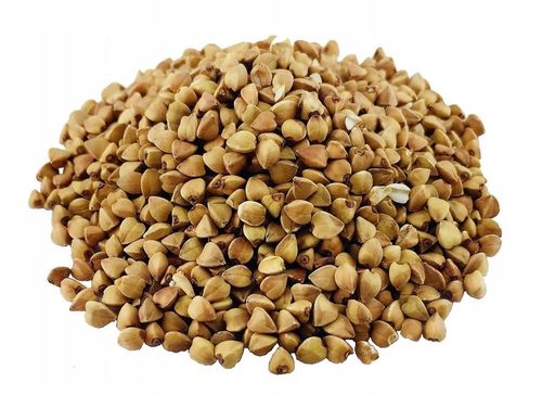 KASZA GRYCZANA PALONA PRAŻONA 5kg 5000g Polska BAFRA na Arena.pl