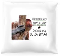 Poduszka z nosaczem -  Kiedyś to były zimy