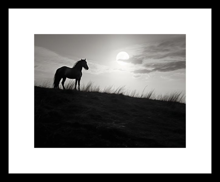 Plakat 20x15cm Księżycowa Straż zdjęcie 3