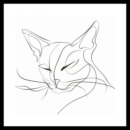 Plakat 40x40cm Linijny Kot na Arena.pl