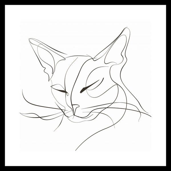 Plakat 40x40cm Linijny Kot zdjęcie 3