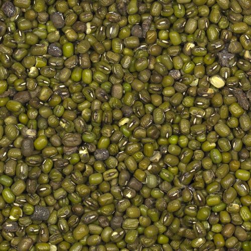 Fasola mung 500g na Arena.pl