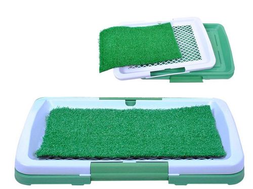 Kuweta dla psa na Arena.pl